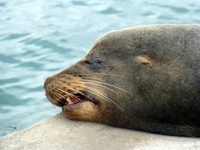 Snoring.