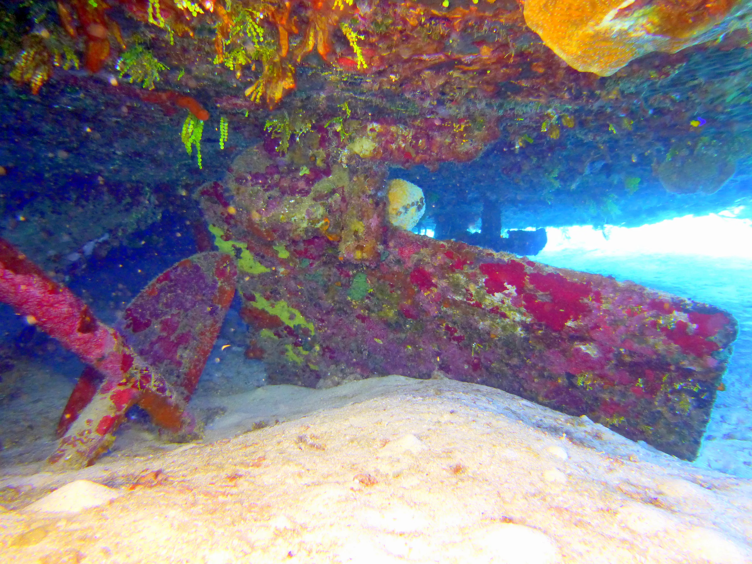 Cayman Islands underwater photograph, 2014