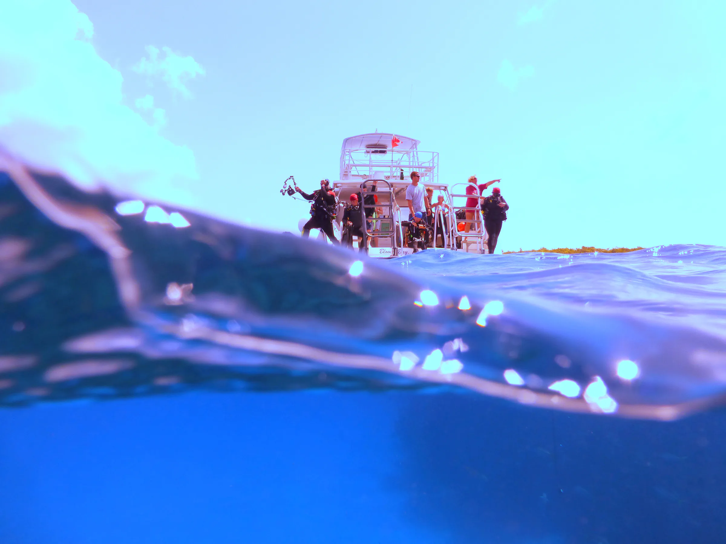 Cayman Islands underwater photograph, 2014