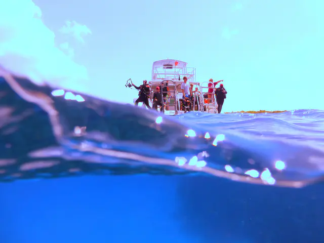 Underwater photograph by Joel Bergsma