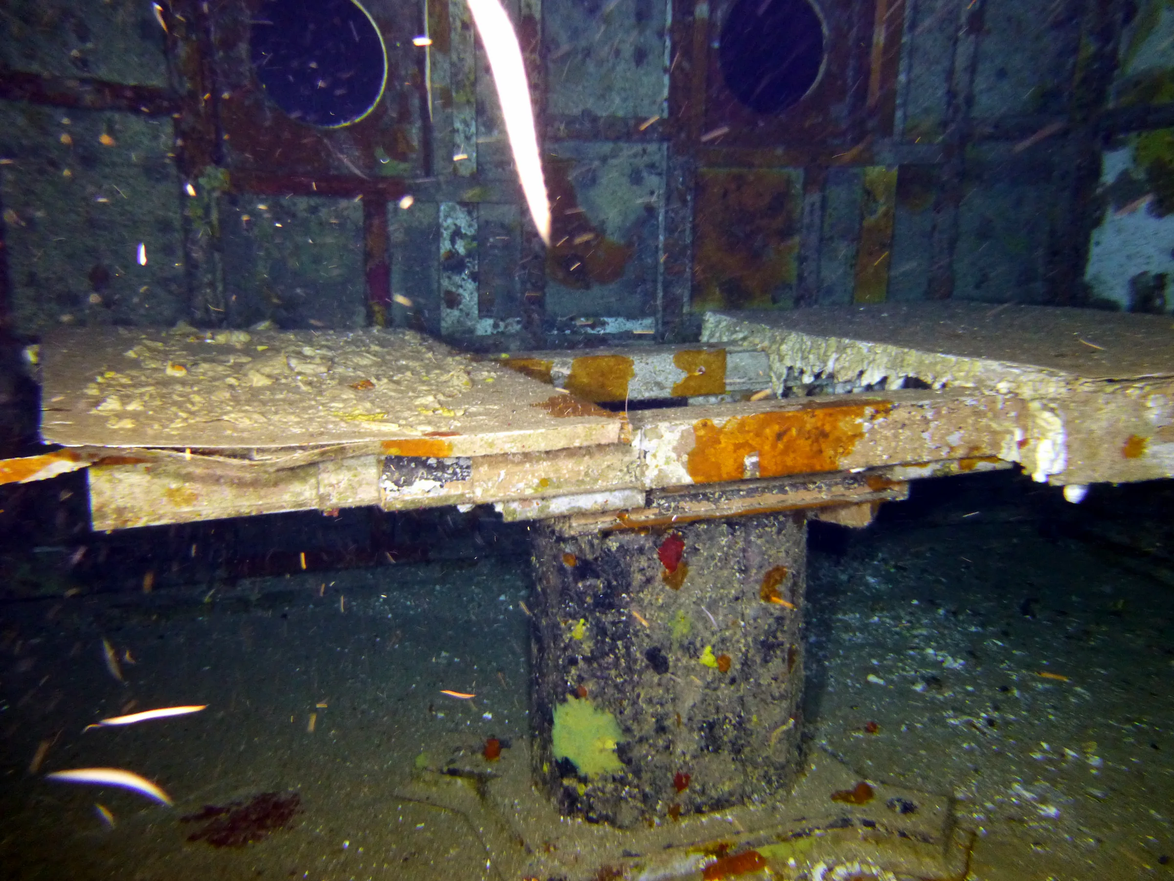 Cayman Islands underwater photograph, 2014