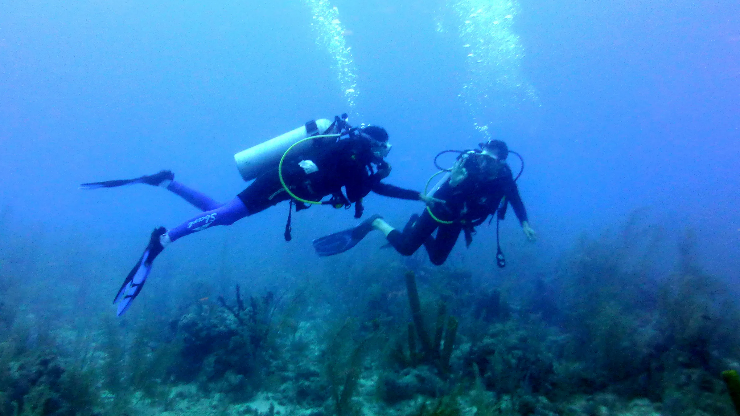 Belize underwater photograph, 2017