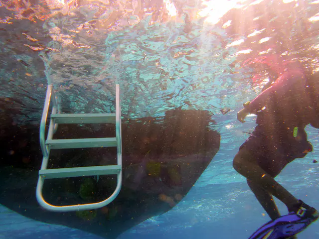 Underwater photograph by Joel Bergsma
