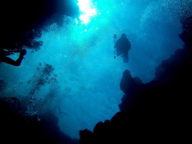 Looking up at a solo diver descending from one of the blue holes lit far above.