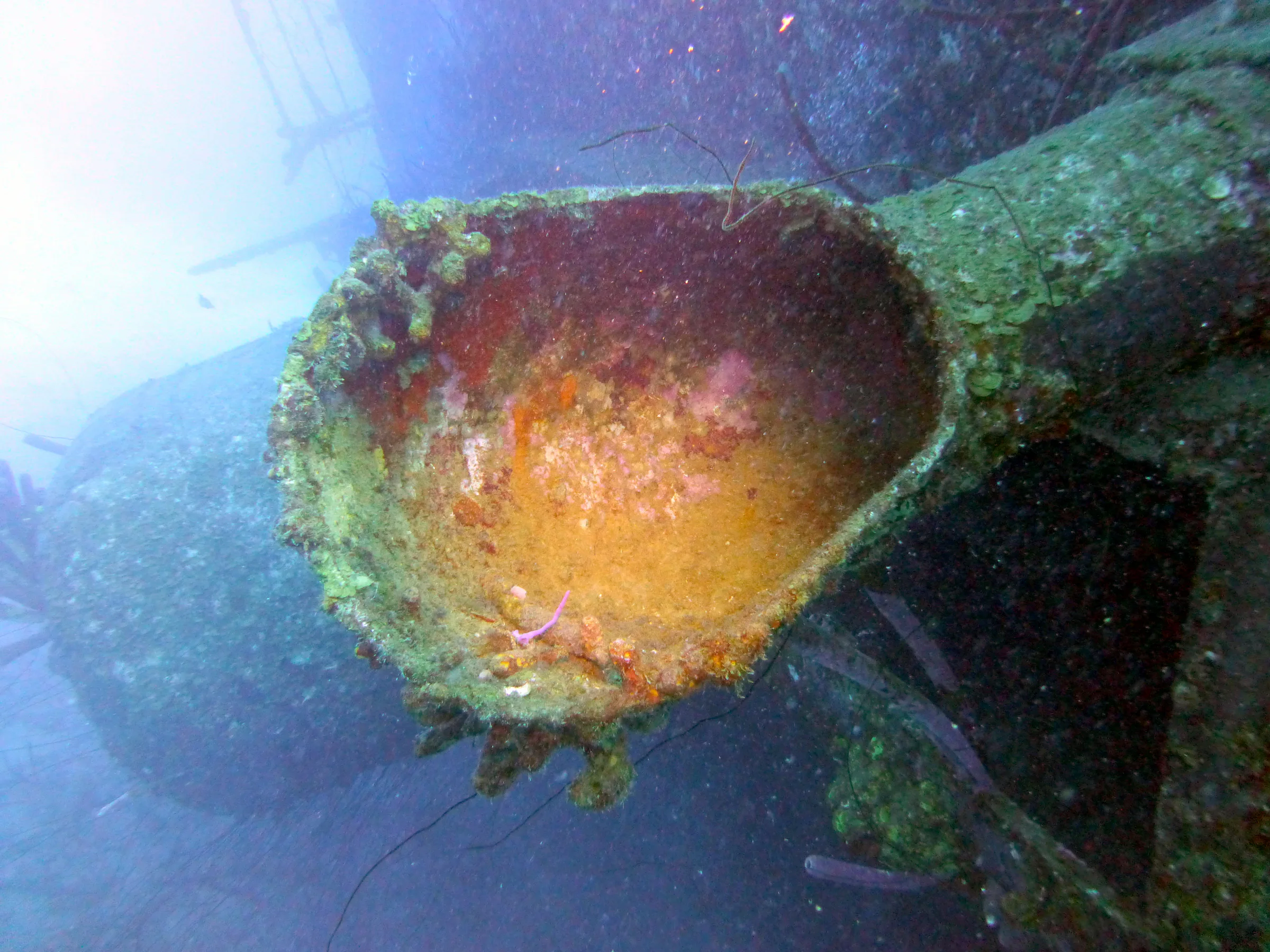 Bonaire underwater photograph, 2013