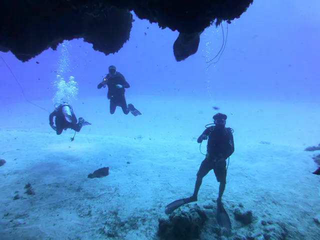 Underwater photograph by Joel Bergsma