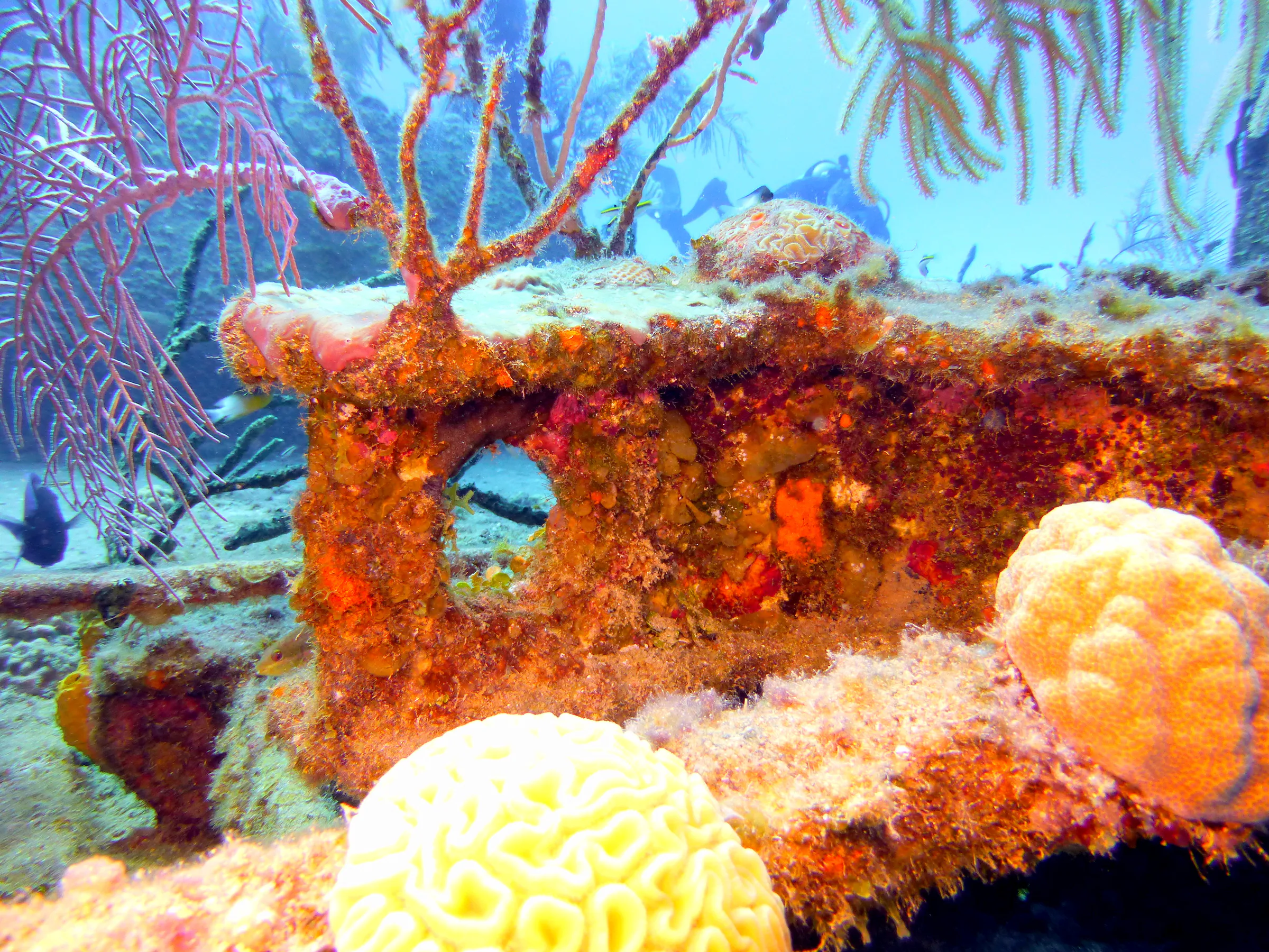 Cayman Islands underwater photograph, 2014