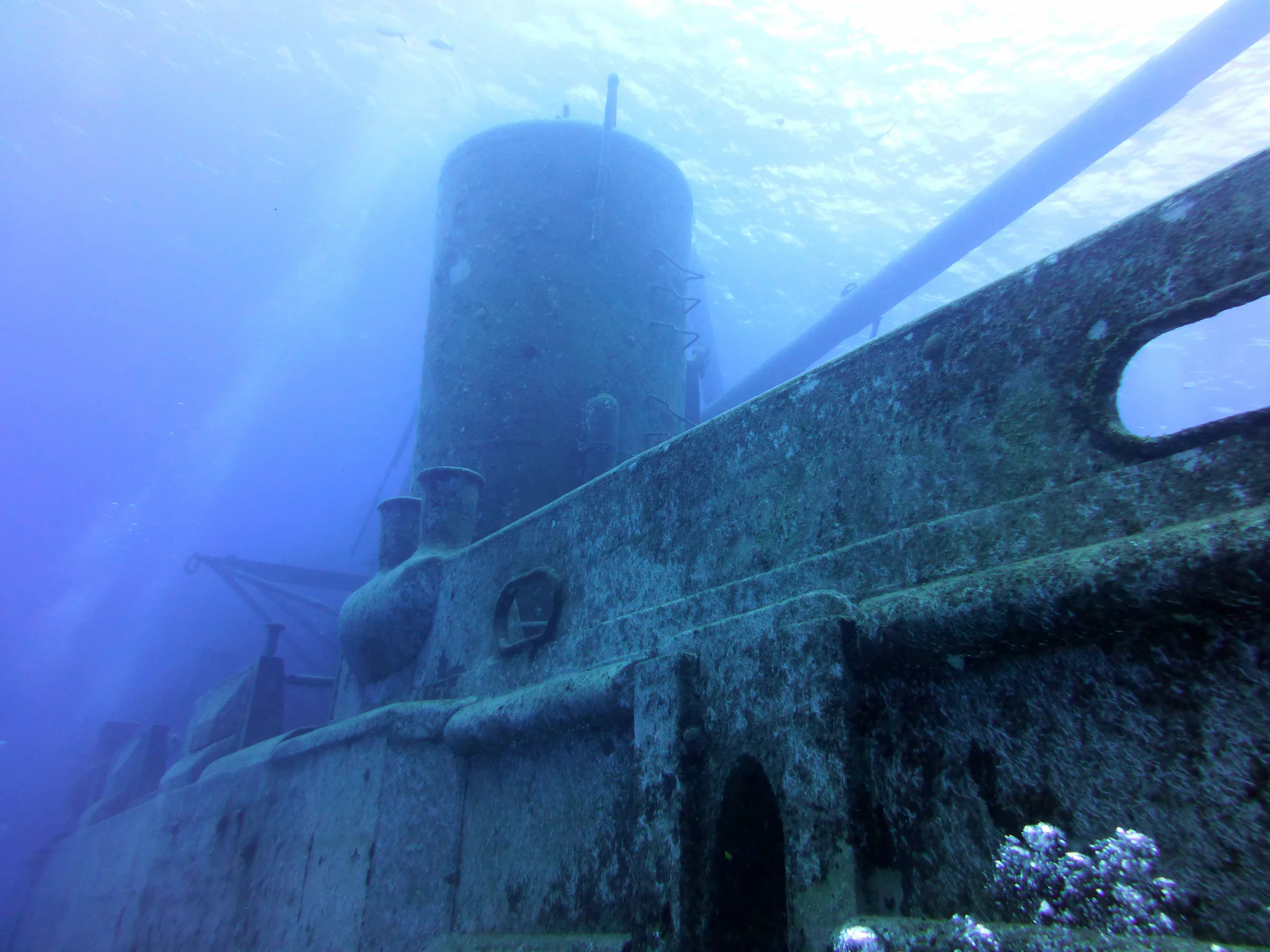 Cayman Islands underwater photograph, 2014