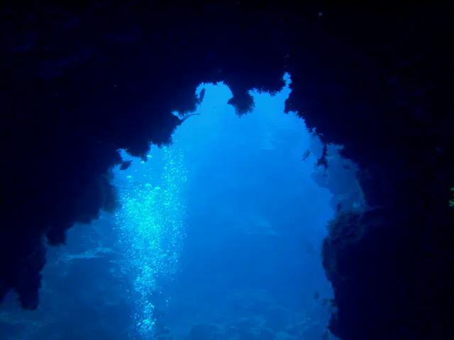 Coral arch