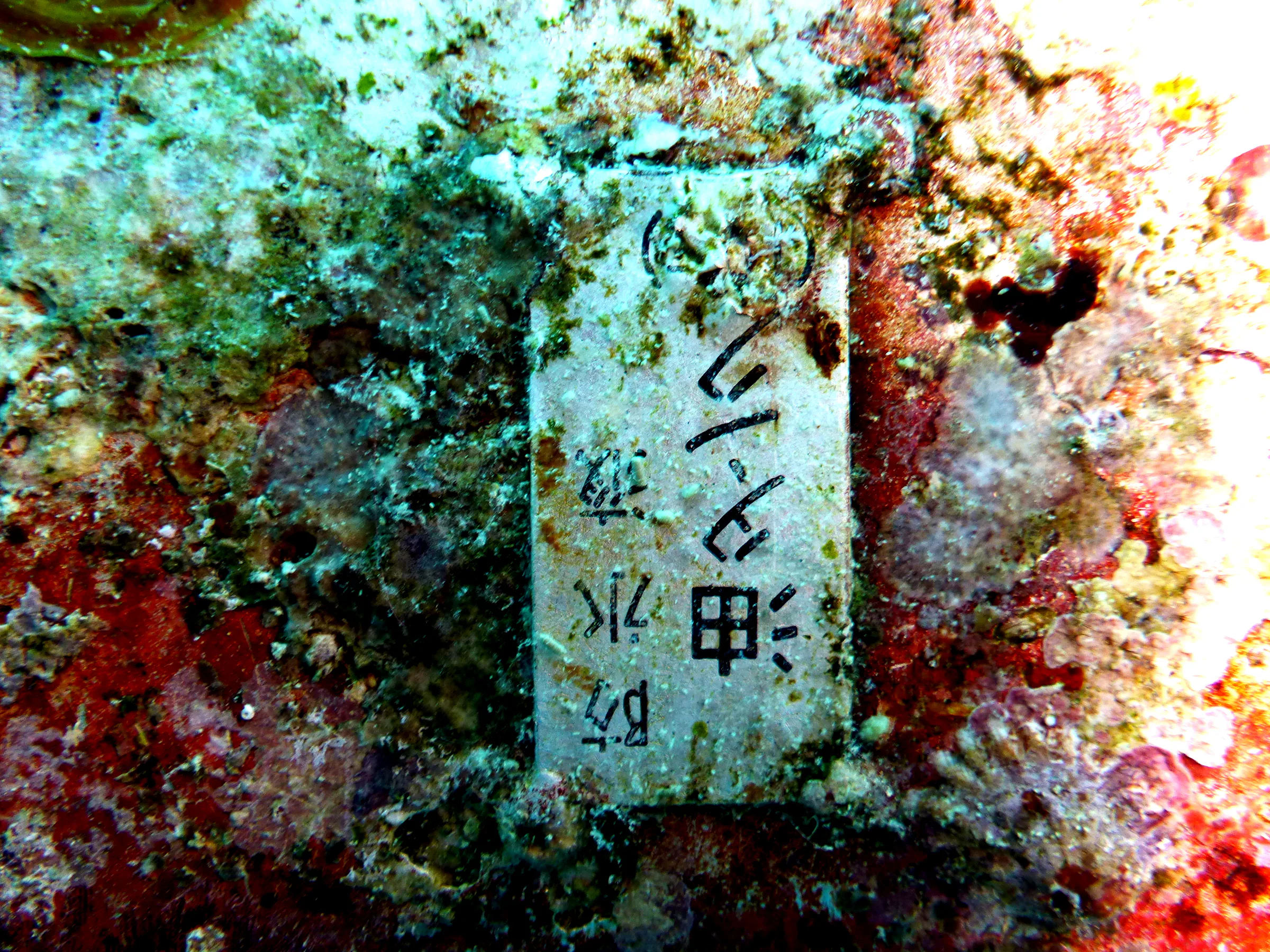 Close up of the Japanese characters