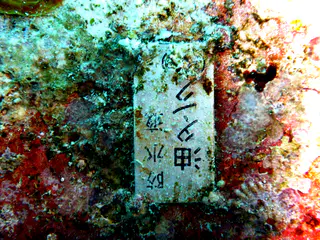 Close up of the Japanese characters