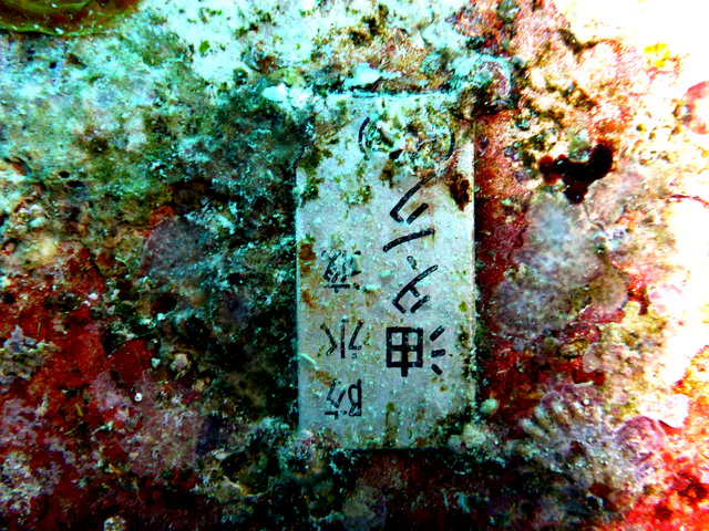 Close up of the Japanese characters