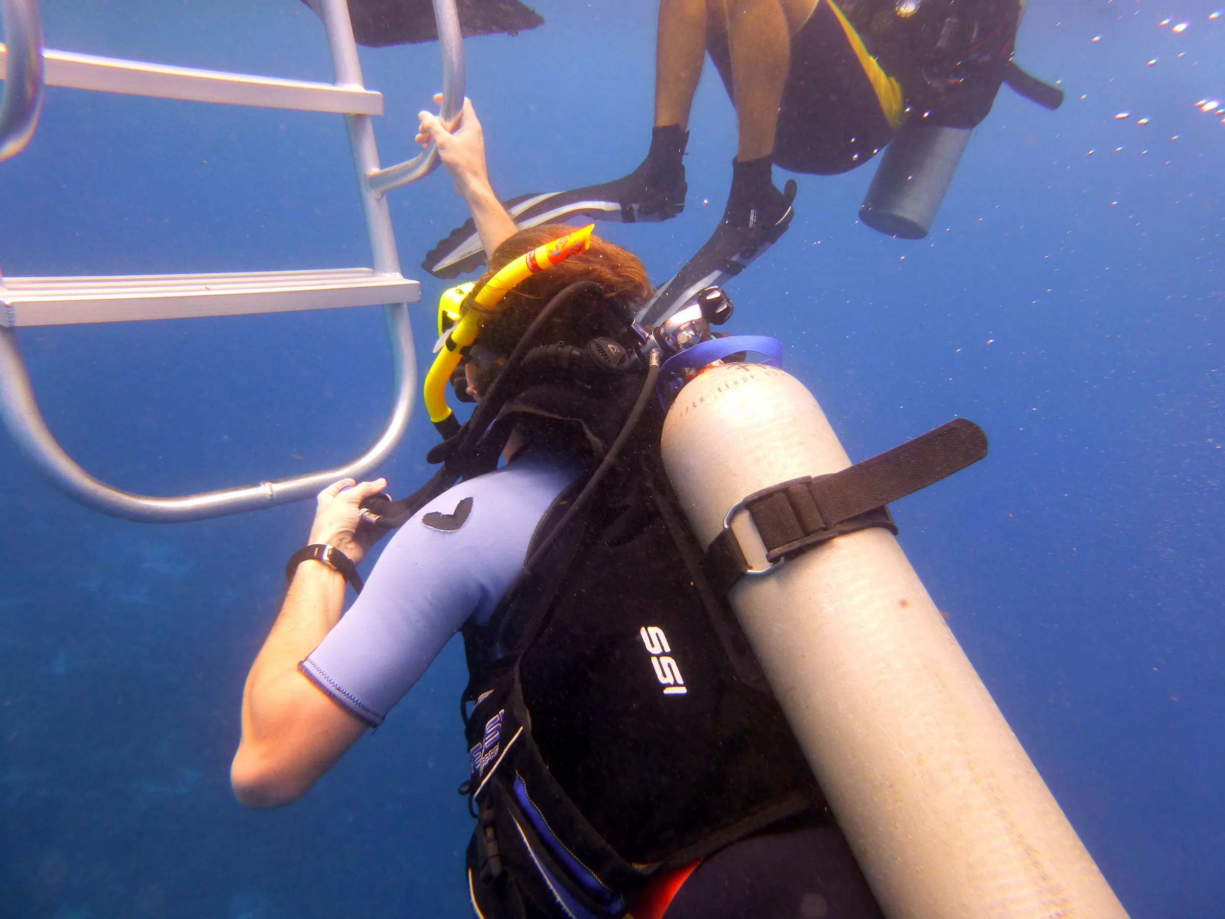 Bonaire underwater photograph, 2013