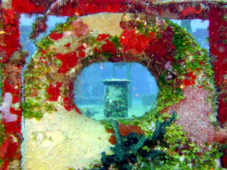 Underwater photograph by Joel Bergsma