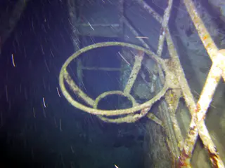 Underwater photograph by Joel Bergsma