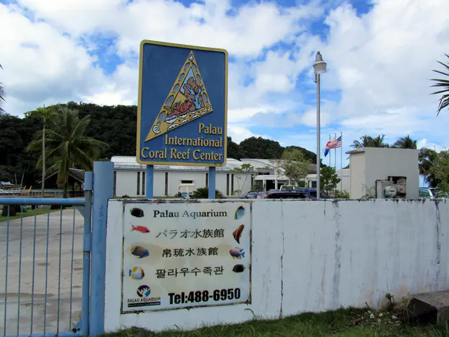 Palau International Coral Reef Center and Palau Aquarium, a research and tourist educational facility built in the intervening years since my last trip there in 1991.  Displays "include a topographical map of Palau; a recreation of a mangrove swamp, a seagrass aquarium; an inner reef aquarium; an exhibition of coral and another of the country's famed jellyfish; deep-water aquariums and a couple of salt-water crocodiles."  [Wikitravel.org]