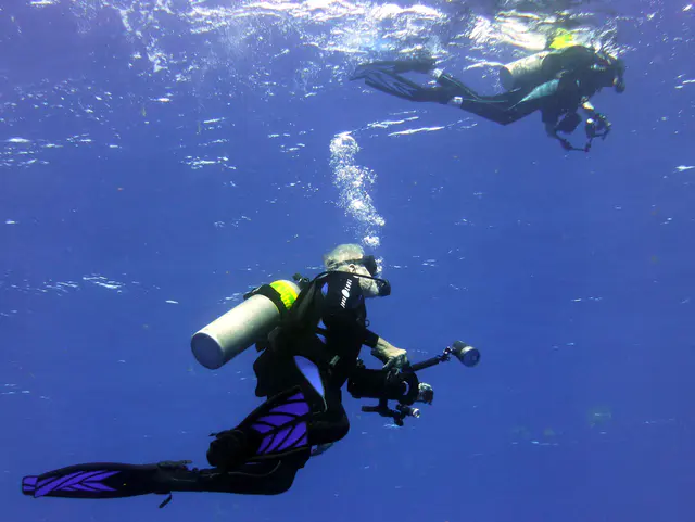 Underwater photograph by Joel Bergsma