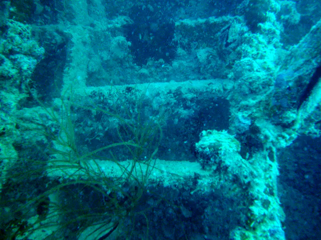 Rungs on a ladder aboard the WWII Wreck Nagisan Maru.
