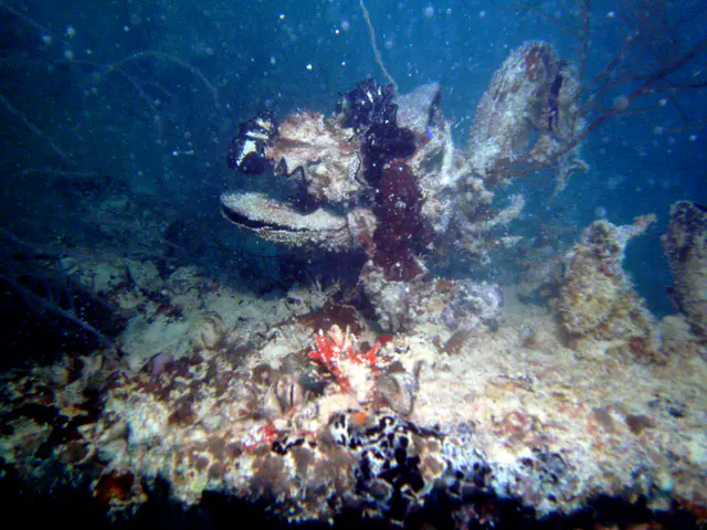 Camera 14MP-9PC