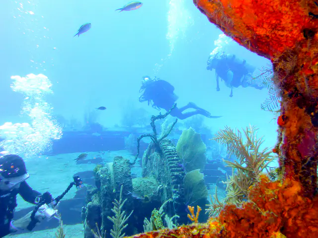 Underwater photograph by Joel Bergsma