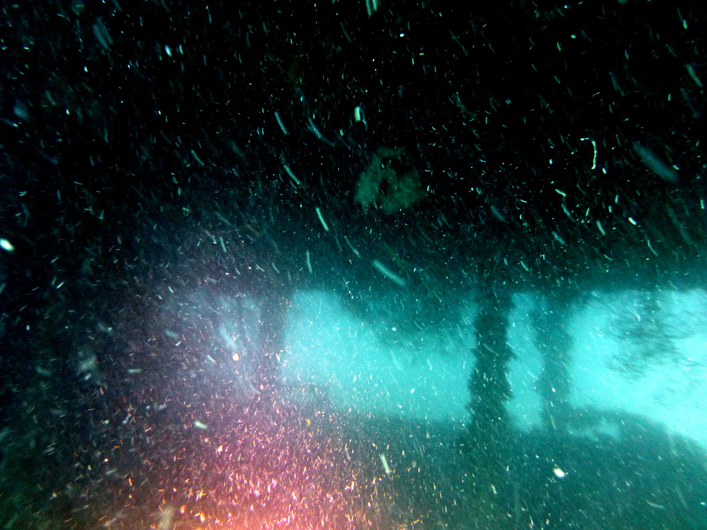 Palau underwater photograph, 2013