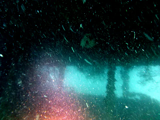 Underwater photograph by Joel Bergsma