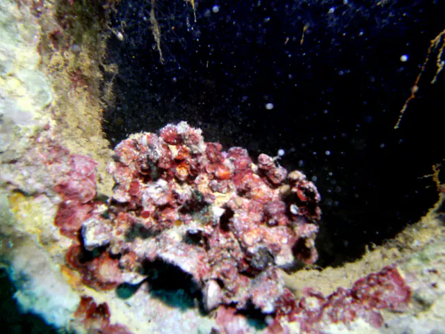 Peering down the ventilation pipe on the ship's main deck into its dark hold below.