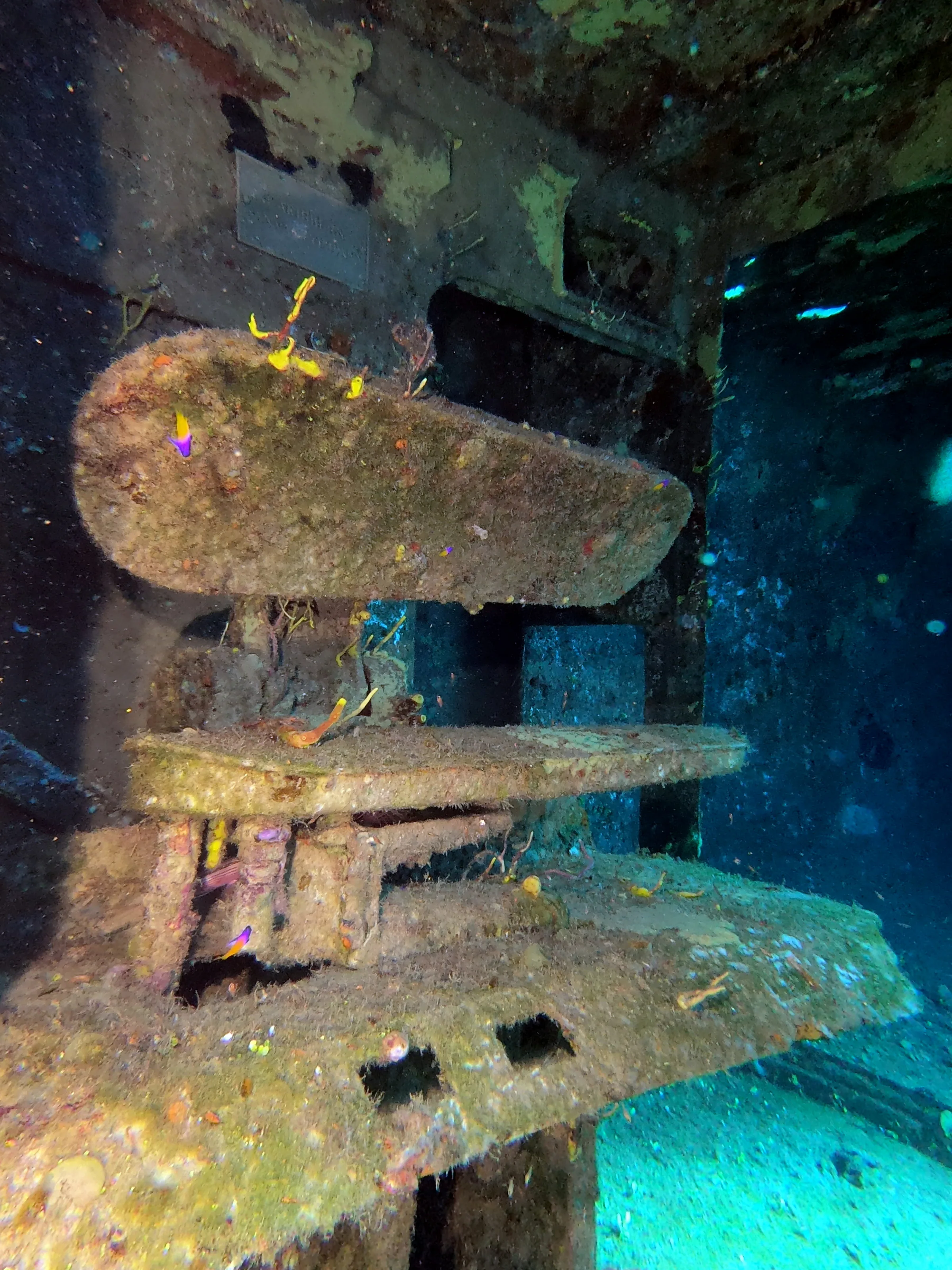 DCIM\100GOPRO\GOPR1035.JPG