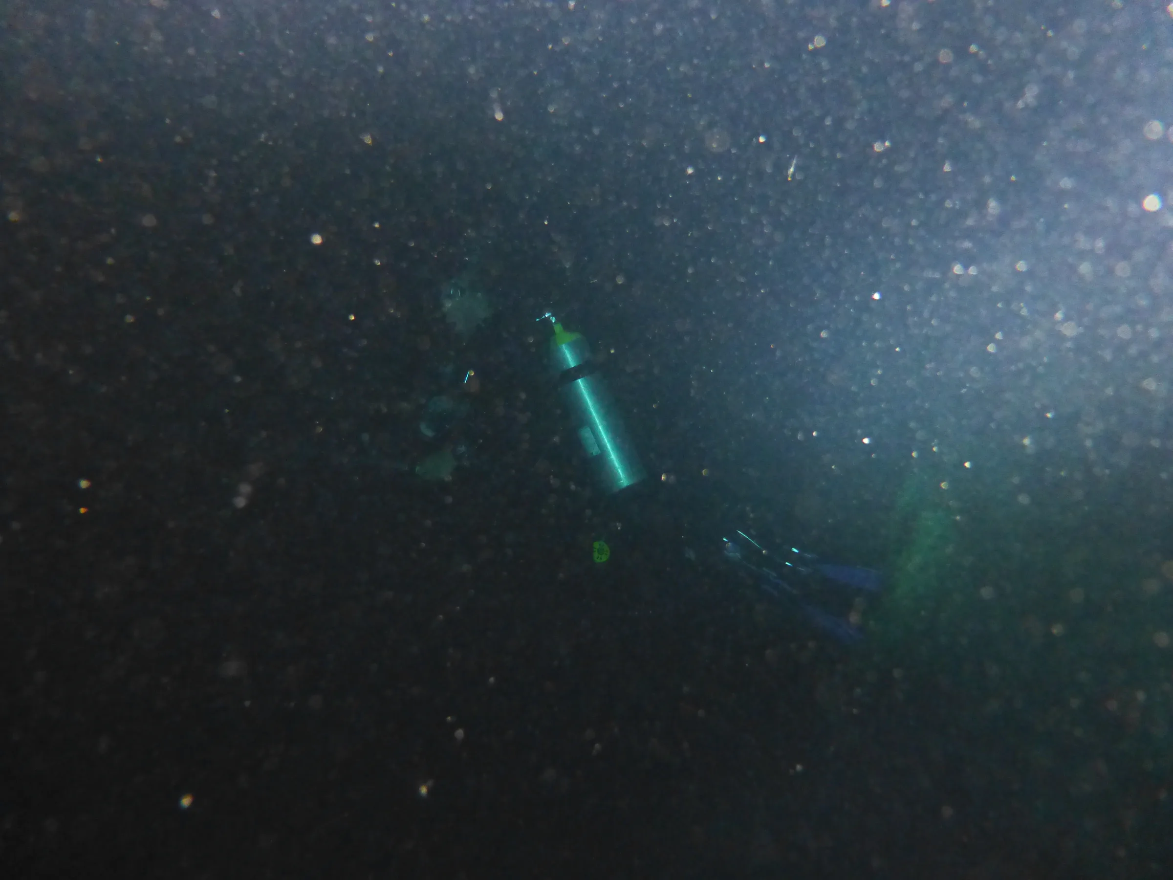 Palau underwater photograph, 2013