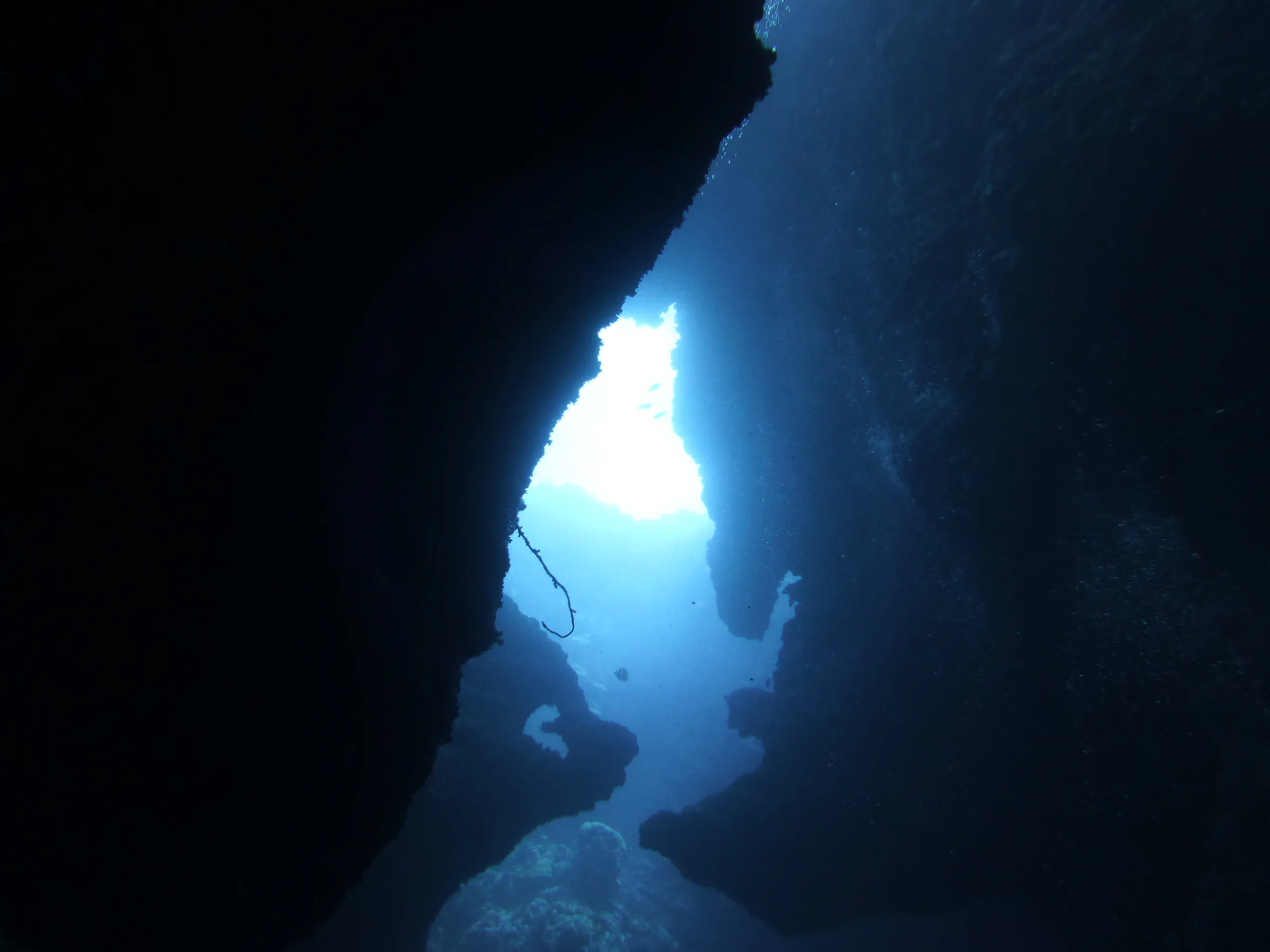 Palau underwater photograph, 2013