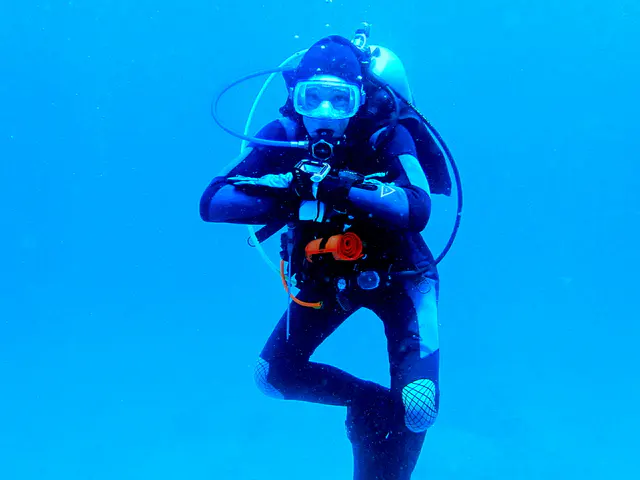 Underwater photograph by Joel Bergsma