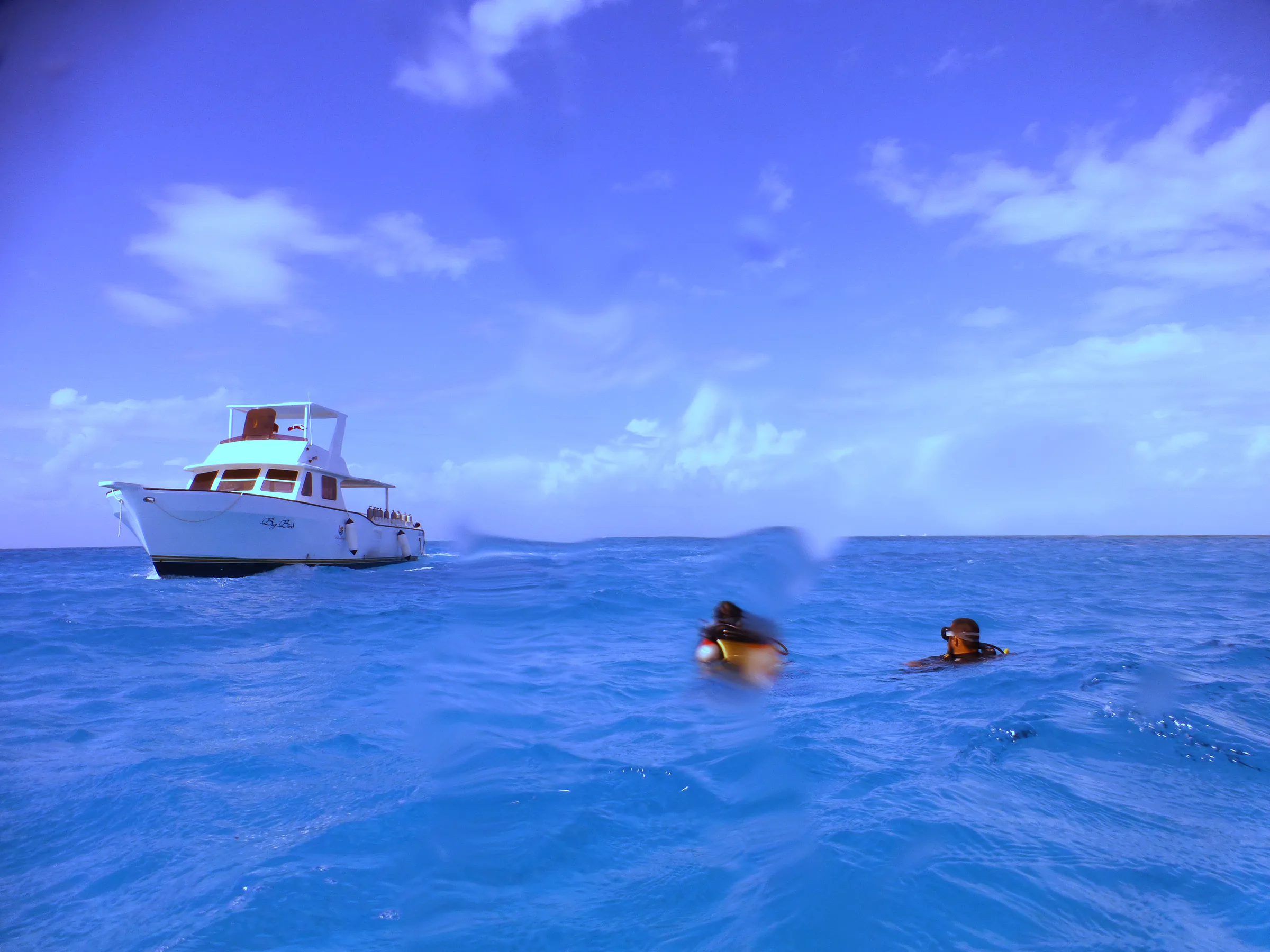 Belize underwater photograph, 2017