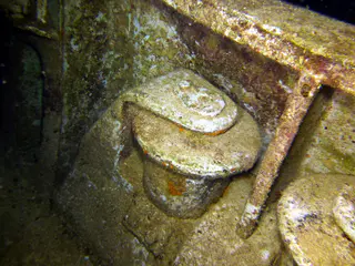 Underwater photograph by Joel Bergsma