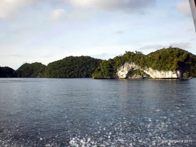 2011-01-15 Rock Islands by boat (19).JPG