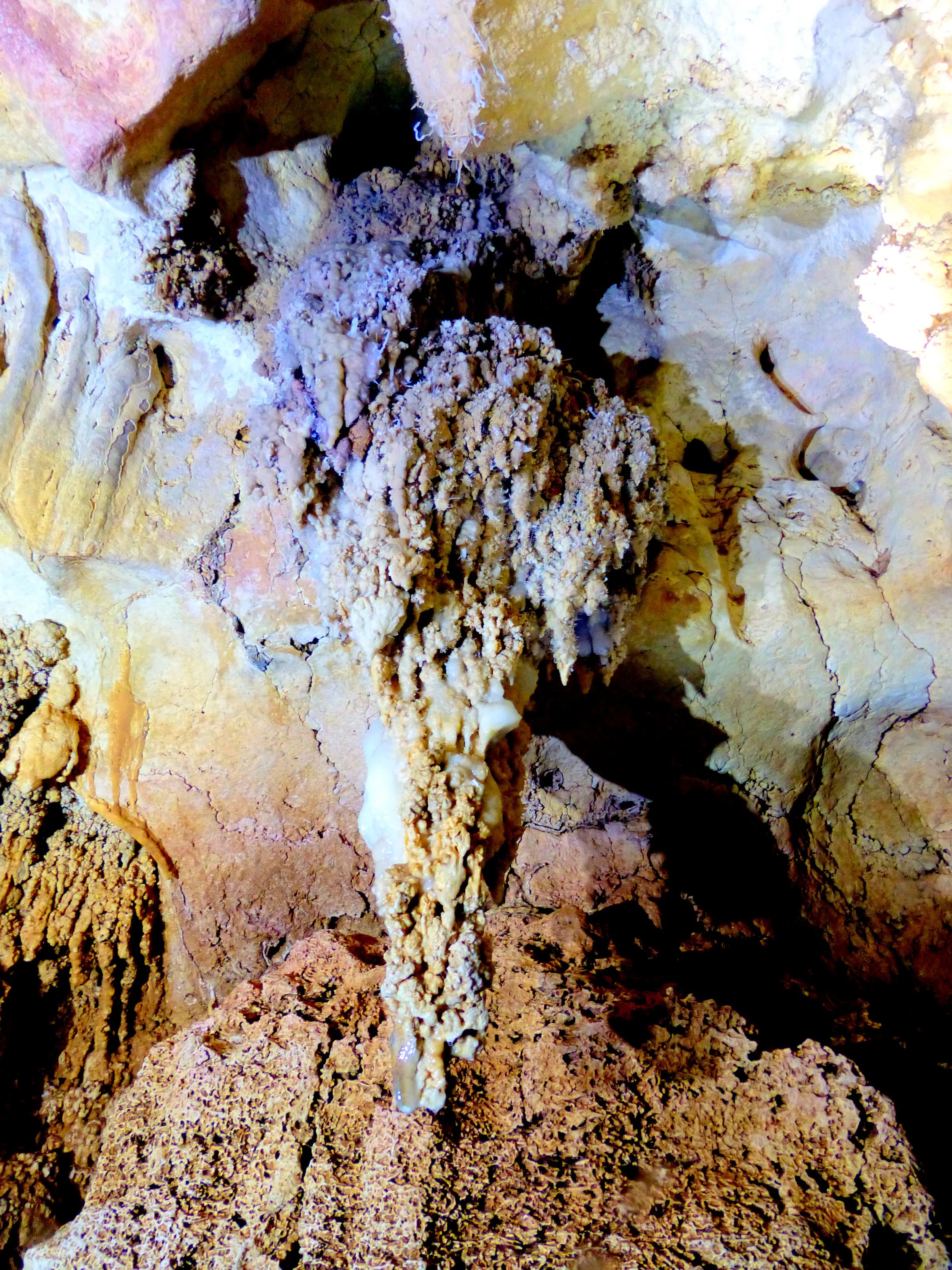 Massive Stalactite in one of the four air chambers.