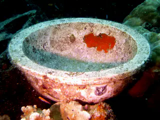 Underwater photograph by Joel Bergsma