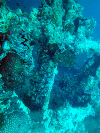 A small portion of the ship's rail.  (I turned the photo on its side for better viewing.)