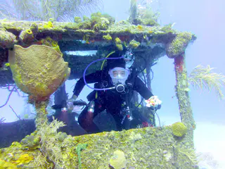 Underwater photograph by Joel Bergsma