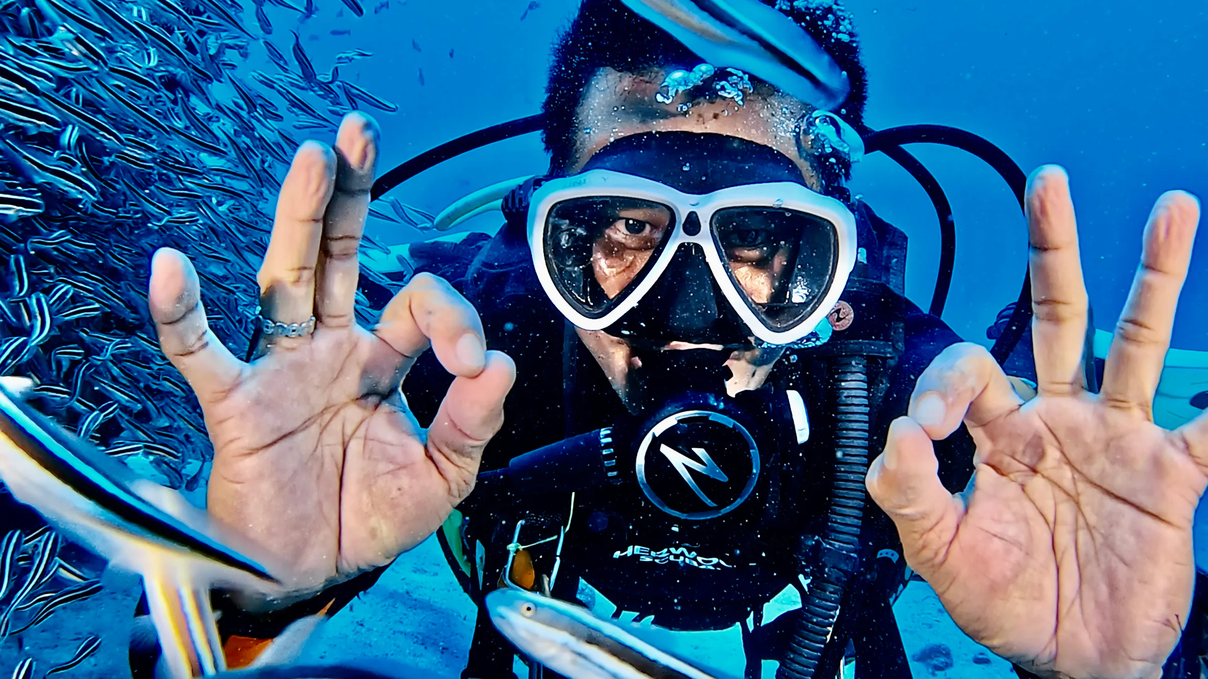 Philippines underwater photograph, 2026