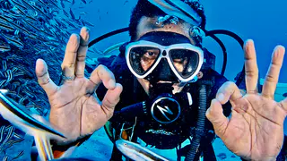 Underwater photograph by Joel Bergsma