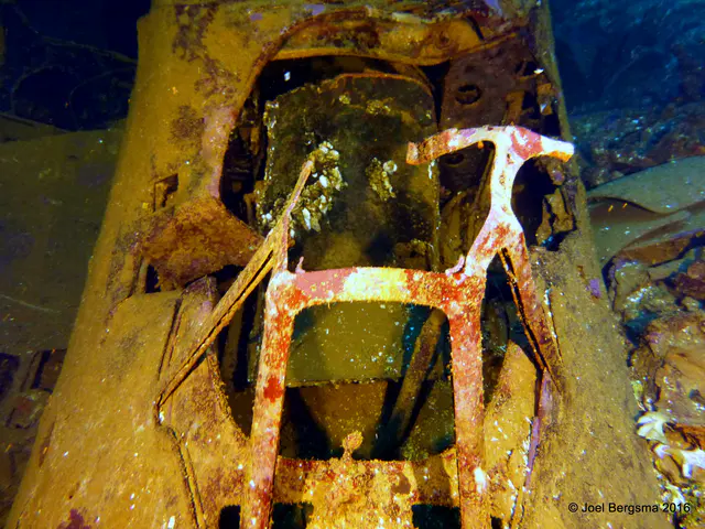 Underwater photograph by Joel Bergsma
