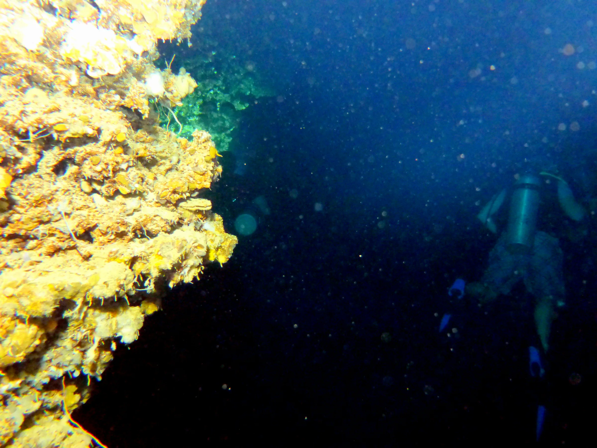 Palau underwater photograph, 2013