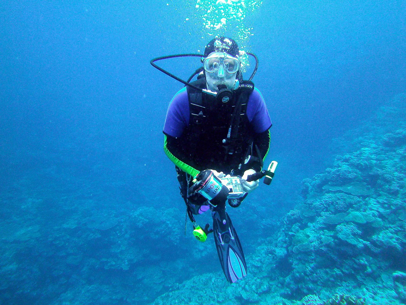 Dive Buddyfish.