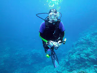 Dive Buddyfish.