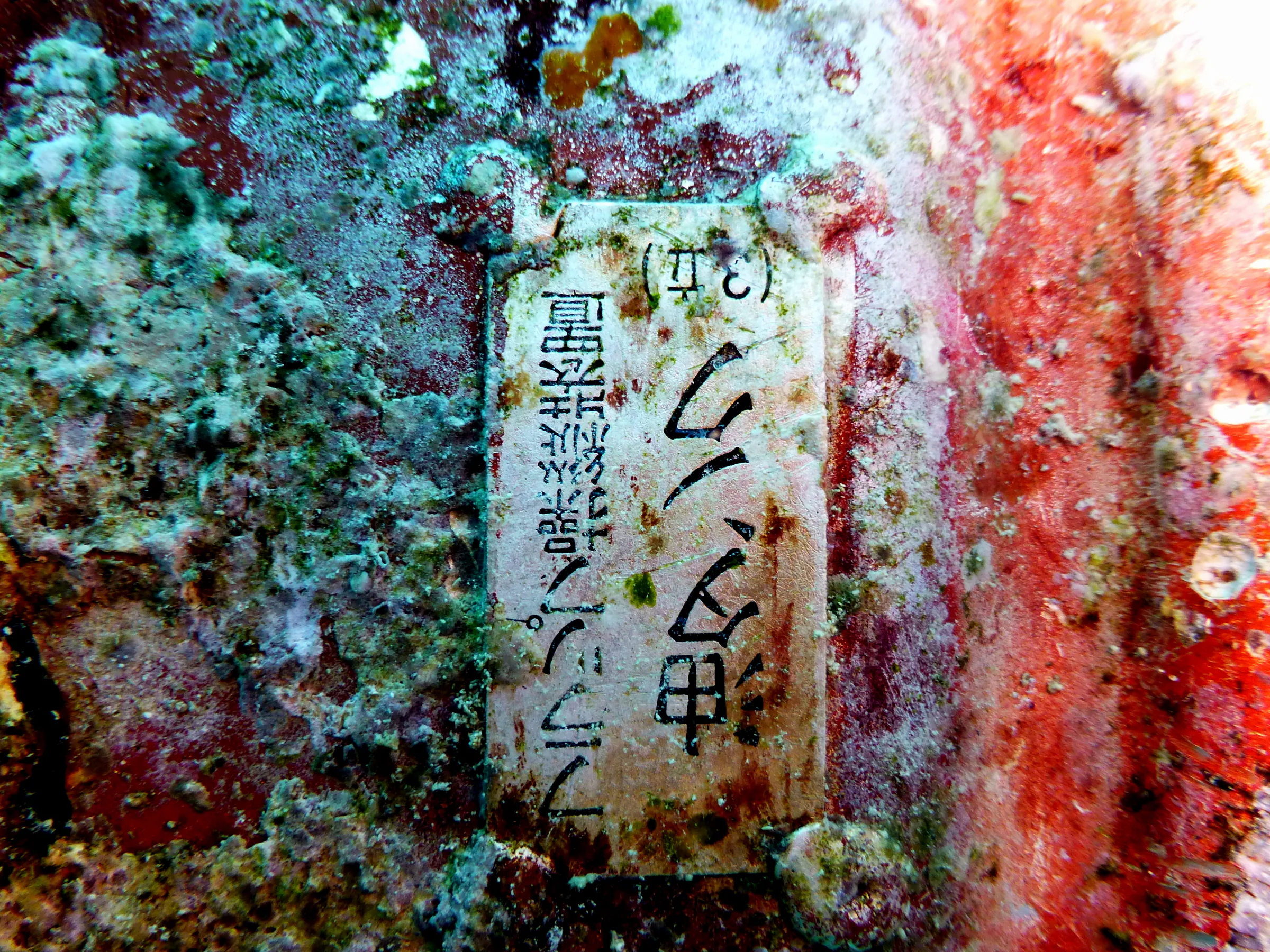 Close up of the Japanese characters