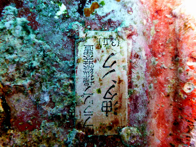 Close up of the Japanese characters