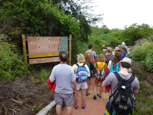 Manzanillo trees are located along the pathway ahead.  They with a poisonous green apple fruit and an irritating bark.