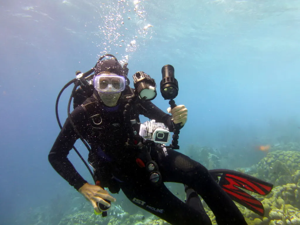 Bonaire underwater photograph, 2013