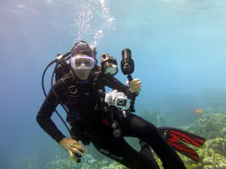 Underwater photograph by Joel Bergsma
