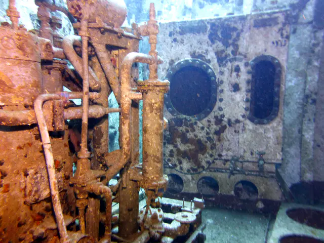 Underwater photograph by Joel Bergsma
